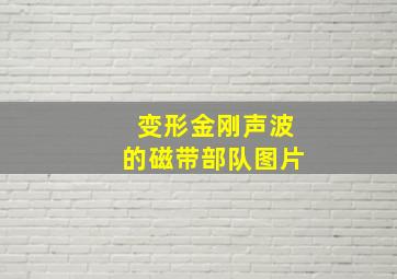 变形金刚声波的磁带部队图片