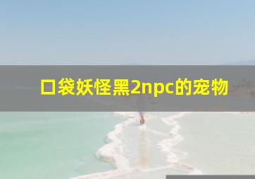 口袋妖怪黑2npc的宠物