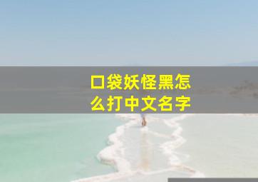 口袋妖怪黑怎么打中文名字