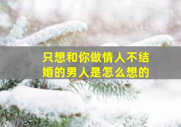 只想和你做情人不结婚的男人是怎么想的