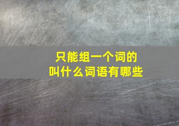 只能组一个词的叫什么词语有哪些