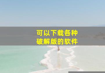 可以下载各种破解版的软件