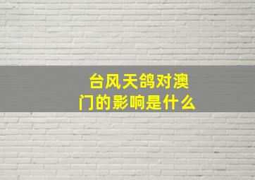 台风天鸽对澳门的影响是什么