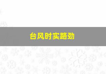 台风时实路劲