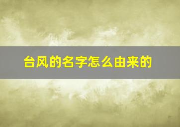 台风的名字怎么由来的