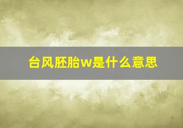 台风胚胎w是什么意思