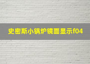 史密斯小锅炉镜面显示f04