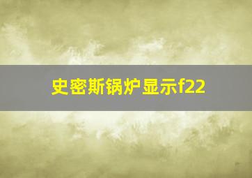 史密斯锅炉显示f22