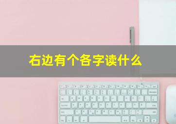 右边有个各字读什么