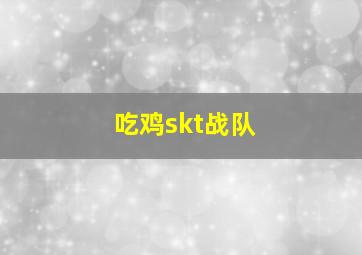 吃鸡skt战队