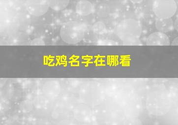 吃鸡名字在哪看