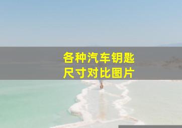 各种汽车钥匙尺寸对比图片