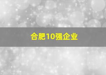 合肥10强企业