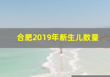 合肥2019年新生儿数量