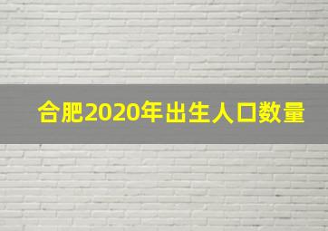 合肥2020年出生人口数量