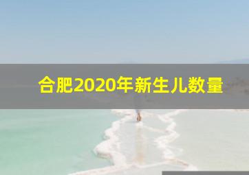 合肥2020年新生儿数量