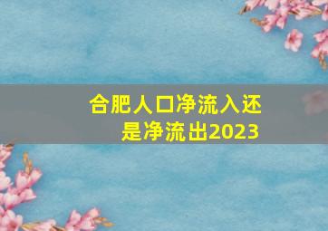 合肥人口净流入还是净流出2023