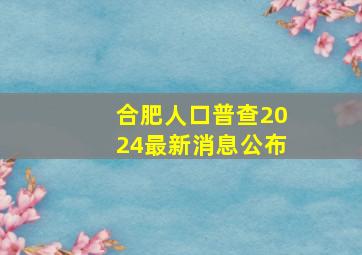 合肥人口普查2024最新消息公布