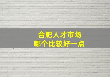 合肥人才市场哪个比较好一点