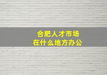 合肥人才市场在什么地方办公