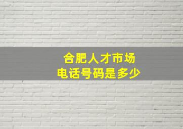 合肥人才市场电话号码是多少