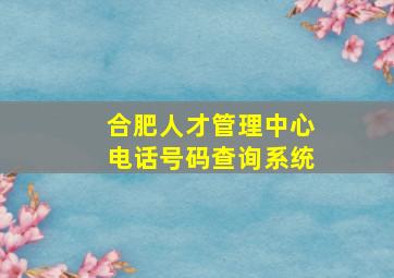 合肥人才管理中心电话号码查询系统