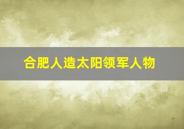 合肥人造太阳领军人物