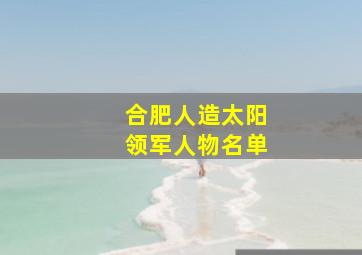 合肥人造太阳领军人物名单