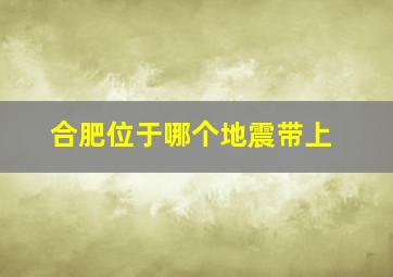 合肥位于哪个地震带上