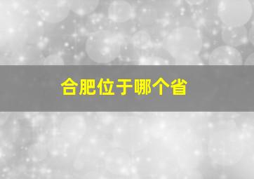 合肥位于哪个省