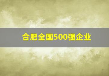 合肥全国500强企业