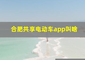 合肥共享电动车app叫啥