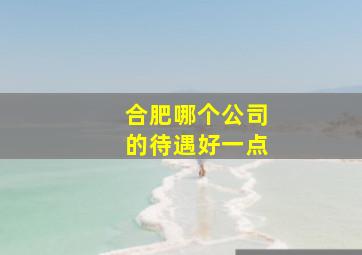 合肥哪个公司的待遇好一点