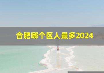 合肥哪个区人最多2024