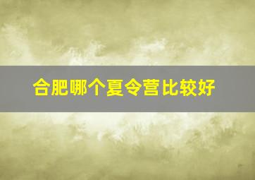 合肥哪个夏令营比较好