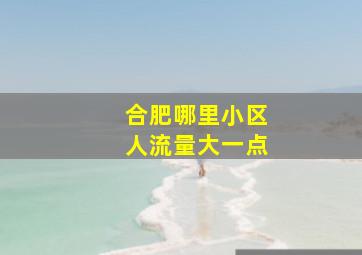 合肥哪里小区人流量大一点