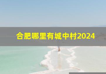 合肥哪里有城中村2024