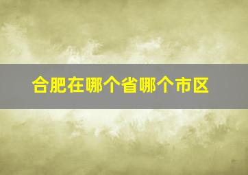 合肥在哪个省哪个市区