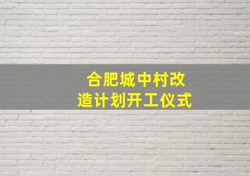 合肥城中村改造计划开工仪式