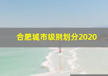 合肥城市级别划分2020