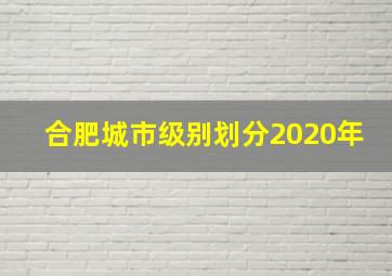 合肥城市级别划分2020年