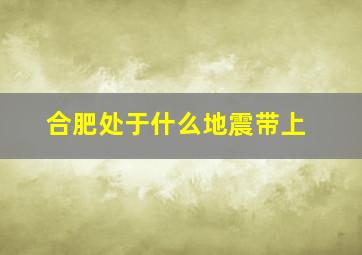 合肥处于什么地震带上