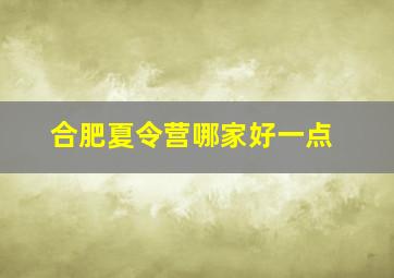 合肥夏令营哪家好一点