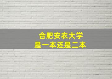 合肥安农大学是一本还是二本