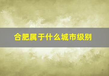 合肥属于什么城市级别