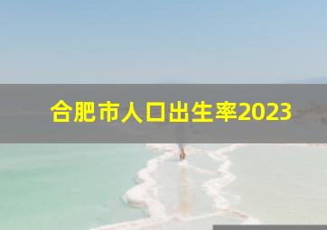 合肥市人口出生率2023