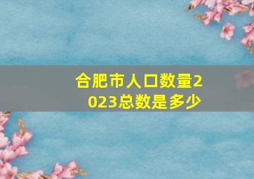 合肥市人口数量2023总数是多少