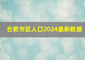 合肥市区人口2024最新数据