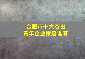 合肥市十大杰出青年企业家是谁啊