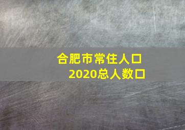 合肥市常住人口2020总人数口